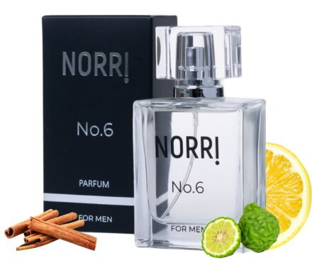 NORRI No.6